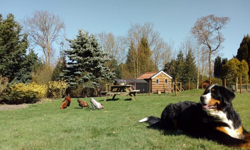 B&B De Flecht - De Ljip Nijega Bagian luar foto