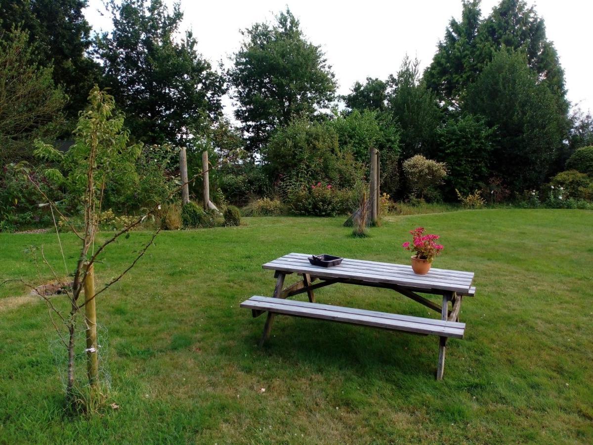 B&B De Flecht - De Ljip Nijega Bagian luar foto