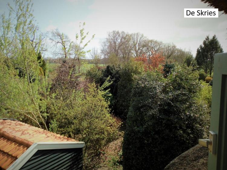 B&B De Flecht - De Ljip Nijega Bagian luar foto